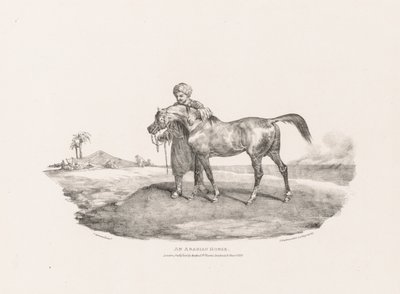 Různá témata kreslená podle živého modelu a na kameni: Arabský kůň od Theodore Gericault