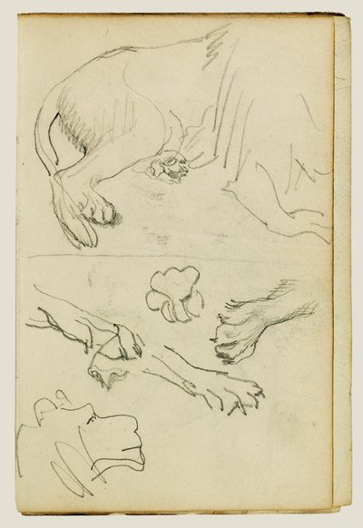 Různé studie lví nohy, tlap a hlavy od Theodore Gericault
