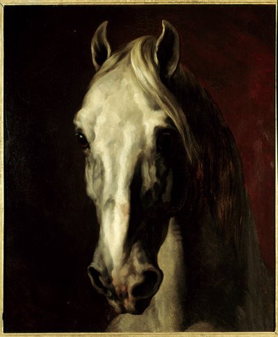 Hlava bílého koně. Obraz Theodora Gericaulta (1791-1824) od Theodore Gericault