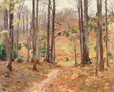 Virginia Woods, 1893 od Theodore Robinson