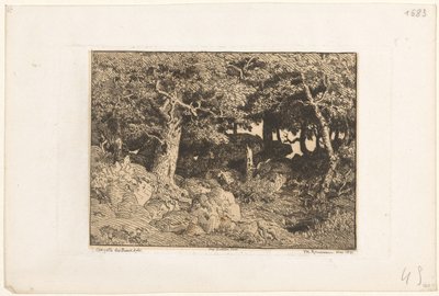 Duby na skalách Chenes de Roche (původní název) od Theodore Rousseau
