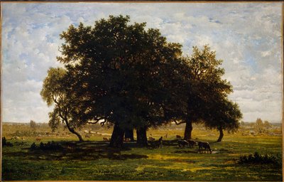 Skupina Chenes, Apremont. Obraz Theodora Rousseaua (1812-1867) od Pierre Etienne Theodore Rousseau