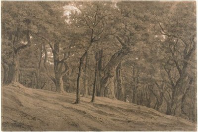 V lese Fontainbleau od Theodore Rousseau