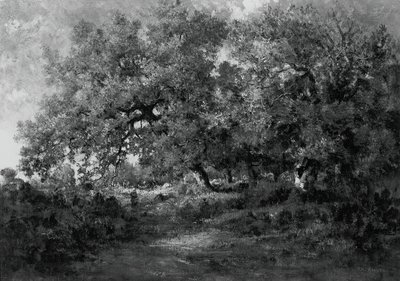 Krajina, c. 1860. od Theodore Rousseau
