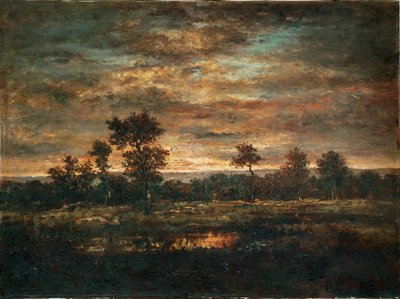 Rybník a okraj lesa ... od Theodore Rousseau