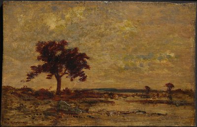 Bažiny, nedatováno (olej na dřevěné desce) od Theodore Rousseau