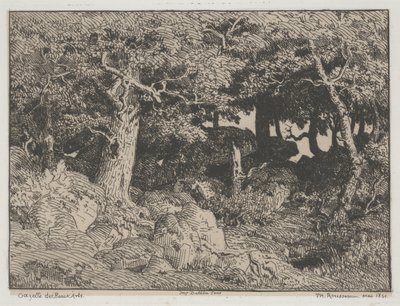 Duby a skály od Pierre Etienne Theodore Rousseau