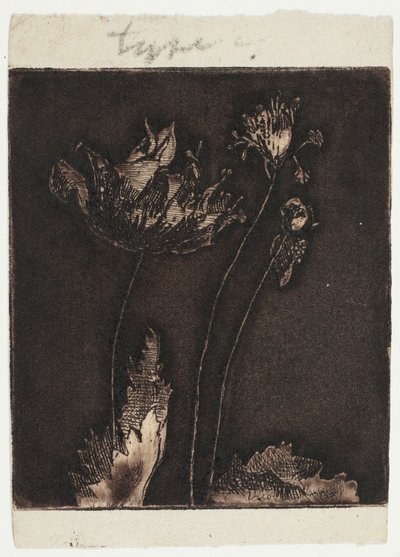 Poslední máky od Theodore Roussel