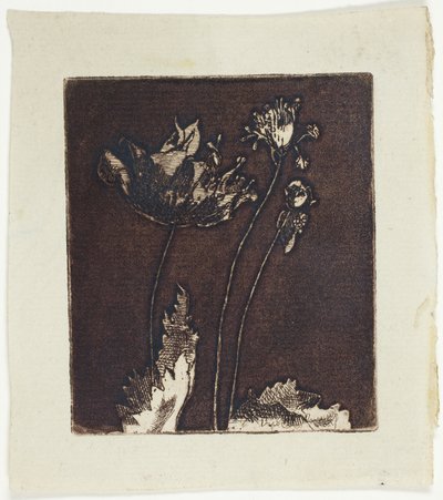 Poslední máky od Theodore Roussel