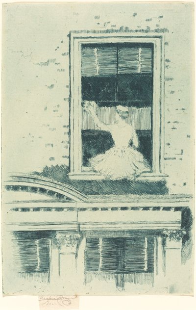 Čistič oken od Theodore Roussel