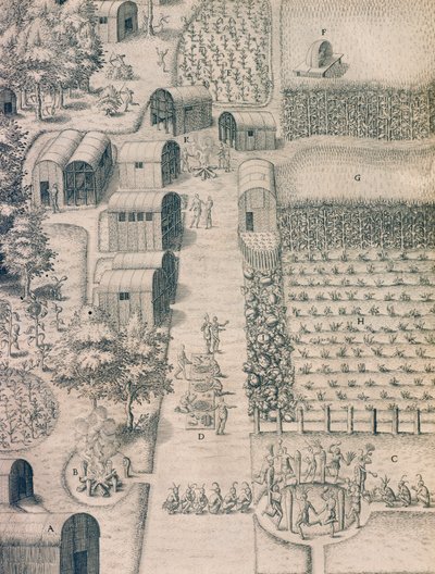 Původní indiánská vesnice obklopená obdělávanou půdou ve Virginii od Theodore de Bry