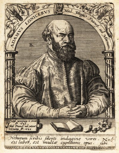 Adam Lonicer nebo Lonitzer od Theodore de Bry