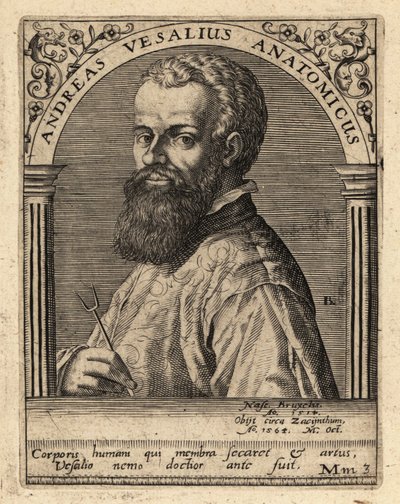 Andreas Vesalius , vlámský lékař, anatom od Theodore de Bry