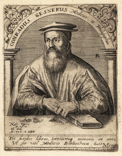 Conrad Gessner, švýcarský lékař od Theodore de Bry
