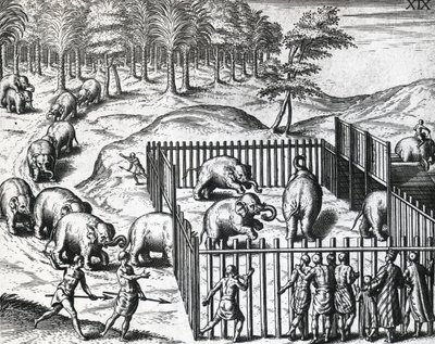 Lov slonů v království Pegu, nyní Myanmar, Theodor de Bry (1528-1598), rytina od Theodore de Bry