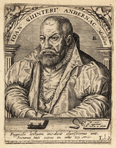 Johann Winter von Andernach, německý lékař od Theodore de Bry