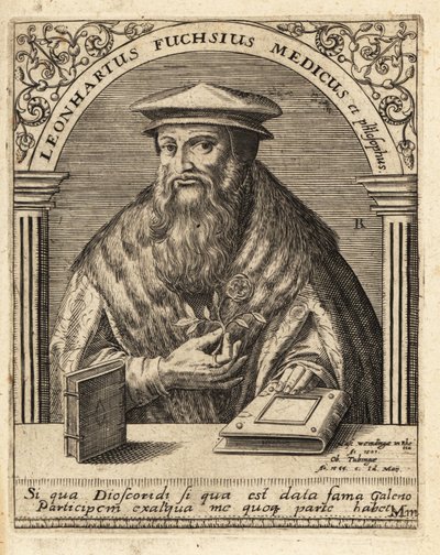 Leonhart Fuchs, německý lékař a botanik 1501-1566. od Theodore de Bry
