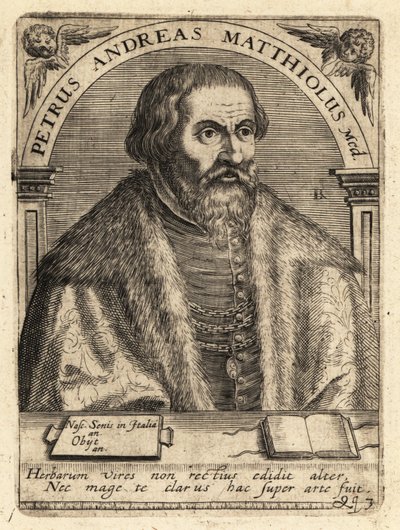 Pietro Andrea Gregorio Mattioli, italský lékař od Theodore de Bry