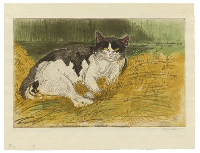 Stará černá a bílá kočka v trávě od Théophile Alexandre Steinlen