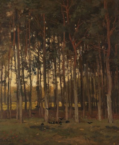 Pohled v lese od Theophile de Bock