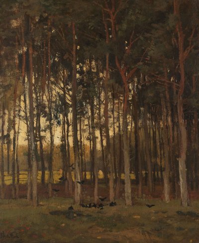 Pohled do lesa od Theophile de Bock