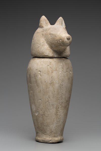 Canopic Jar se Šakalí hlavou (vápenec) od Third Intermediate Period Egyptian