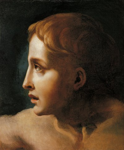 Vedoucí mládeže od Theodore Gericault