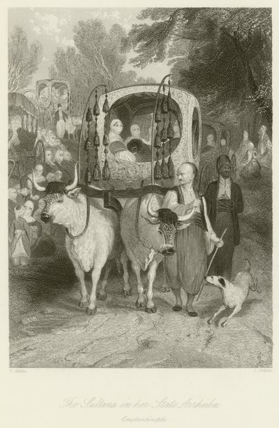 Sultana ve svém státě Arrhuba od Thomas Allom