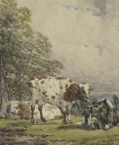 Studie dobytka, 19. století od Thomas Baker