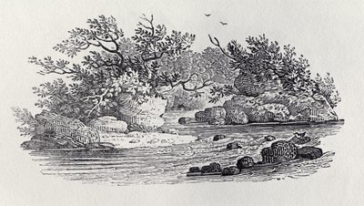 A Bend in the River z „History of British Birds, Volume 2: Water Birds“, 1804 od Thomas Bewick