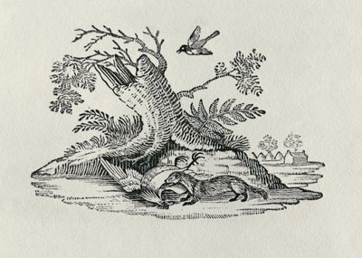 Cibetka s kohoutem z „Historie čtyřnožců“, 1790 od Thomas Bewick