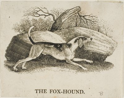 Fox Hound od Thomas Bewick