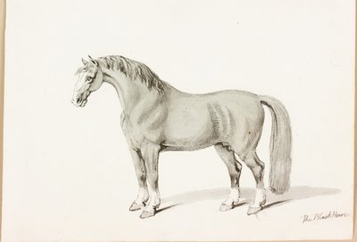 Černý kůň (tuš na papíře) od Thomas Bewick