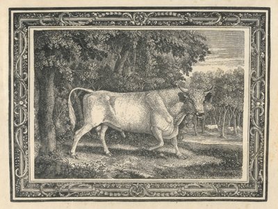 Divoký býk z Chillinghamu od Thomas Bewick
