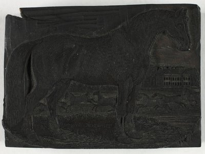 Woodblock pro Černého koně, z Obecné historie čtyřnožců od Thomas Bewick