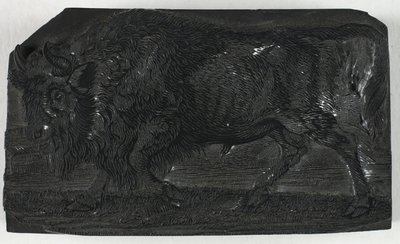 Woodblock pro Urus nebo Divokého býka, z Obecné historie čtyřnožců od Thomas Bewick
