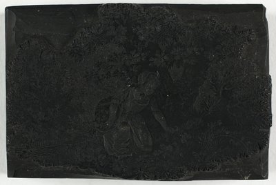 Woodblock pro ženu sbírající květiny od Thomas Bewick