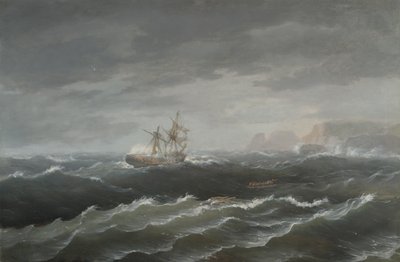 Ztroskotání poblíž skalnatého pobřeží od Thomas Birch