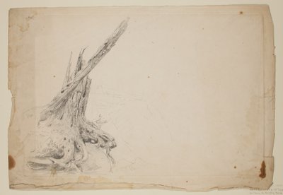 Zlomený kmen stromu (tužka na papíře) od Thomas Cole