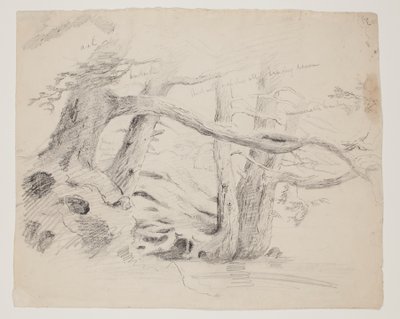 Stromy dubu a jedlovce (tužka na papíře) od Thomas Cole