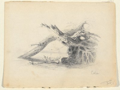Náčrt dvou mrtvých stromů od Thomas Cole