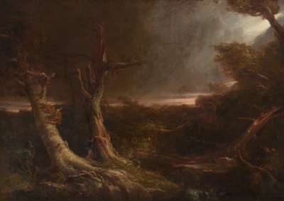 Tornádo v americkém lese od Thomas Cole