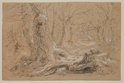 Trees in Winter with Man Standing on Frozen Creek (pencil & gouache on paper)   1377056   cs       czech Successfully Translated  Original: Railway Bridge, Chelsea Translat: Railway Bridge, Chelsea 1297227 cs czech Successfully Translated Original: Yamashi od Thomas Cole