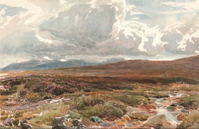 Sussex Common, c1889 od Thomas Collier