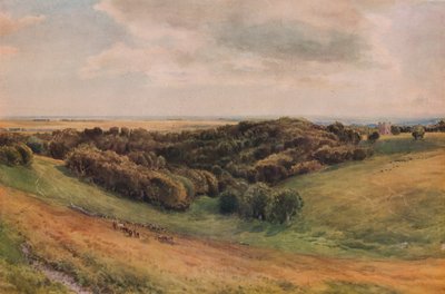 Arundel Park, 1874 od Thomas Collier