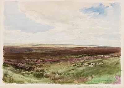 Moorland poblíž Hart Leap Well, Yorkshire (akvarel na papíře) od Thomas Collier