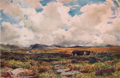 Stacking Peat, Festiniog, Severní Wales, 1881 od Thomas Collier