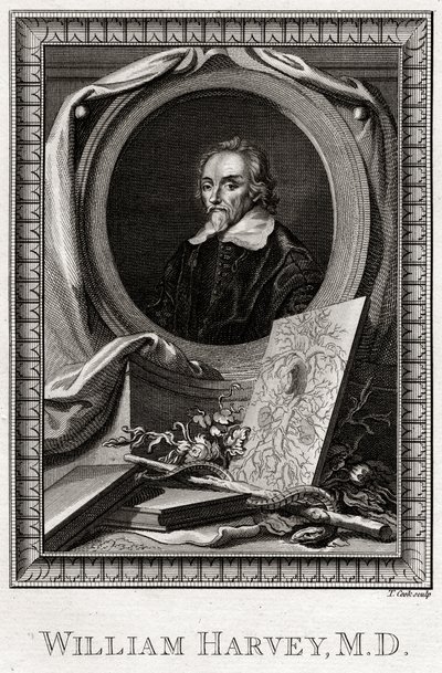 William Harvey, 1777 od Thomas Cook