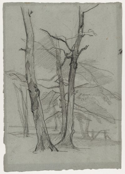 Krajinná studie se stromy, c. 1870-1875. od Thomas Couture