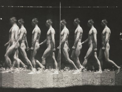 [Muž chodící, stroboskopická fotografie], 80. léta 19. století, tištěná 30.–40. léta 19. století, 80. léta 19. století, tištěná 30.–40. od Thomas Eakins